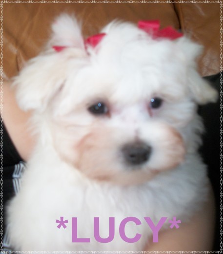 *LUCY*